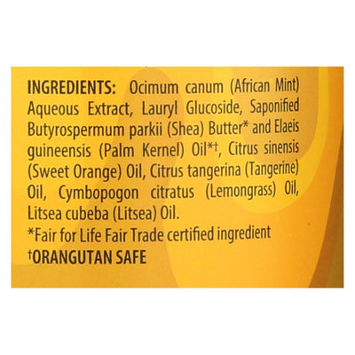 Alaffia - African Black Soap - Tangerine Citrus - 32 Fl Oz. | OnlyNaturals.us