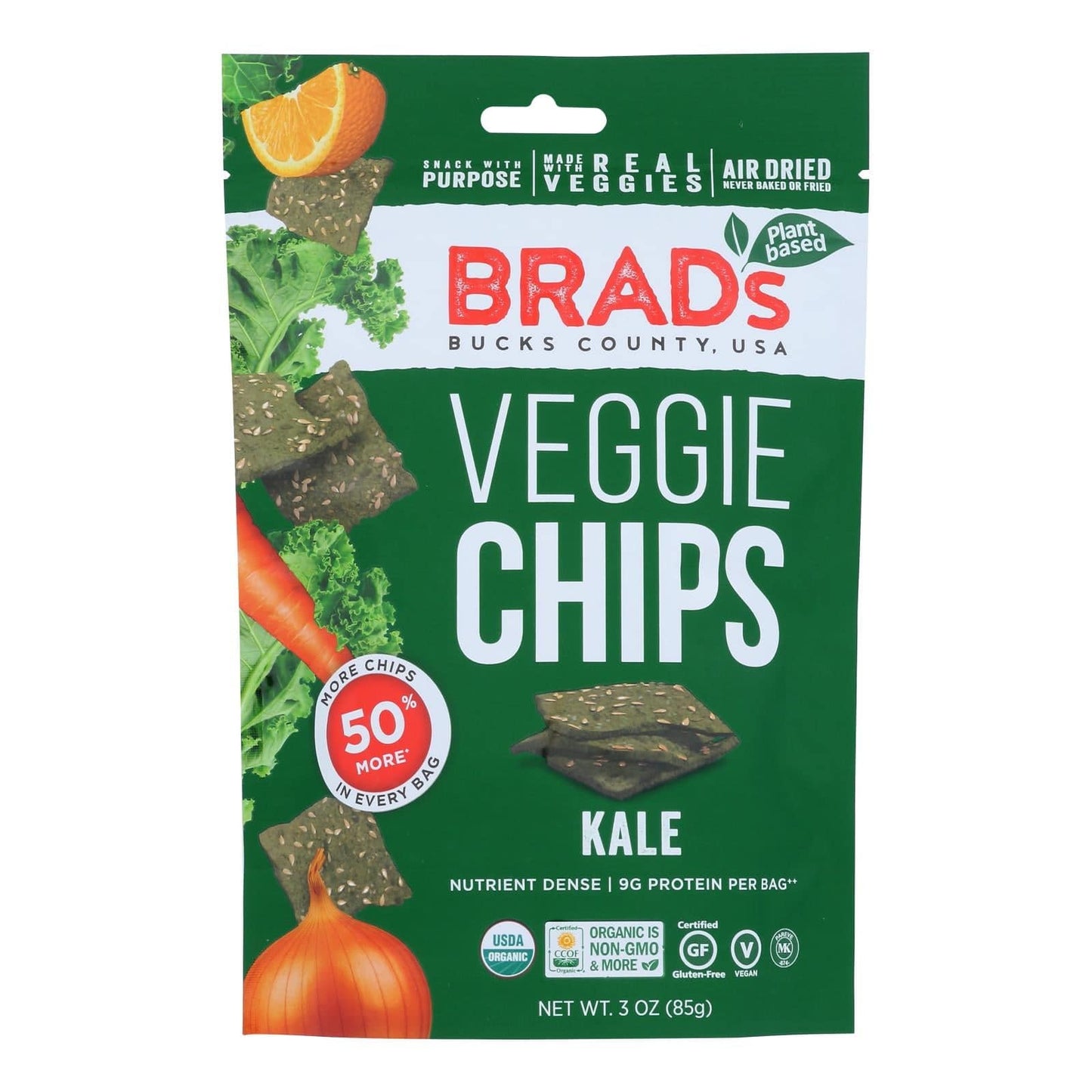 Brad's Plant Based - Raw Chips - Kale - Case Of 12 - 3 Oz. | OnlyNaturals.us