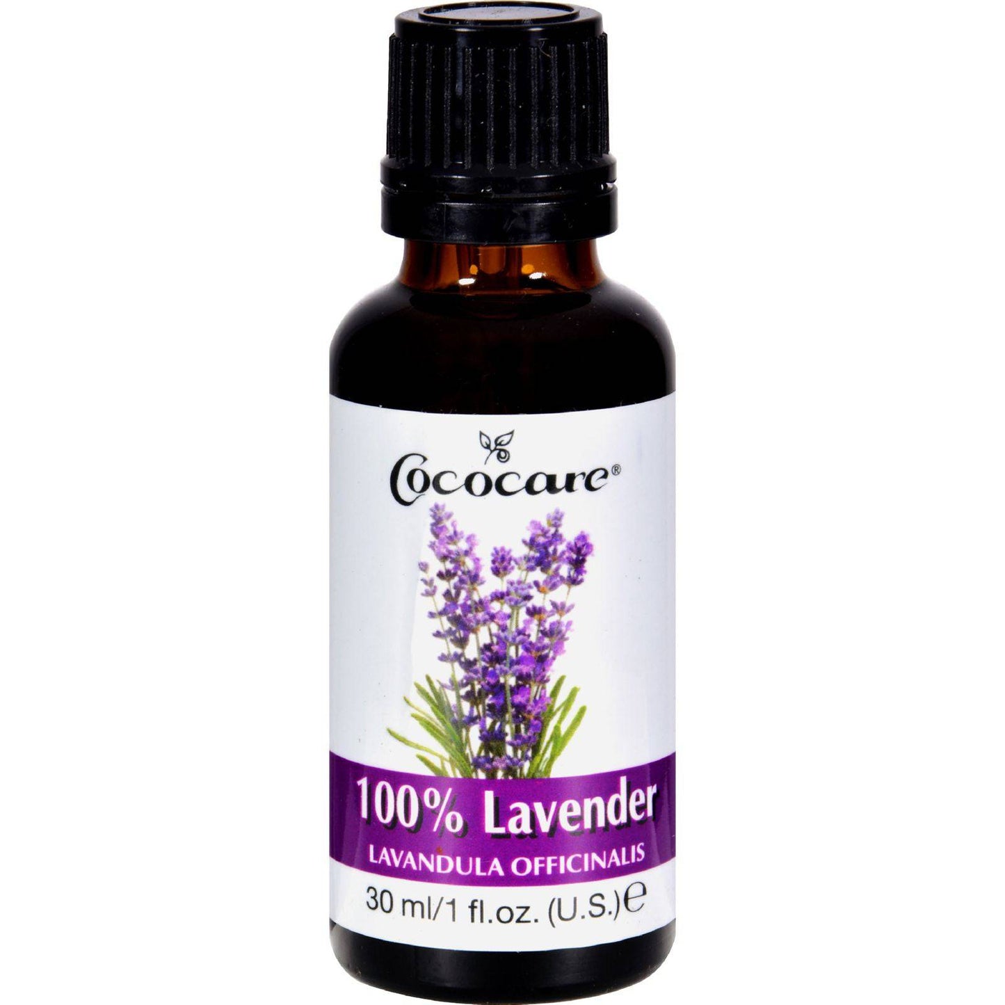Buy Cococare Lavender Oil - 100 Percent Natural - 1 Fl Oz  at OnlyNaturals.us