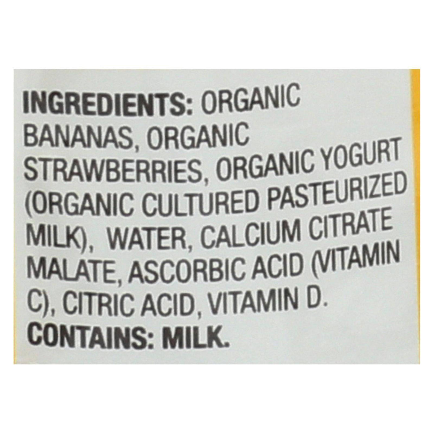 Earth's Best Organic Fruit Yogurt Smoothie - Strawberry Banana - Case Of 12 - 4.2 Oz. | OnlyNaturals.us