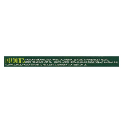 Green Beaverthe Toothpaste - Spearmint Toothpaste - Case Of 1 - 2.5 Fl Oz. | OnlyNaturals.us
