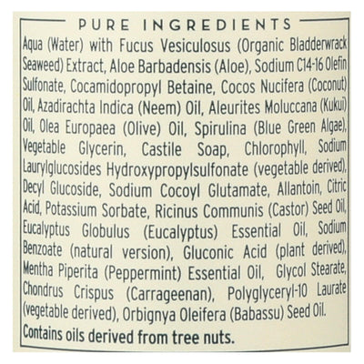 Buy The Seaweed Bath Co Body Wash - Eucalyptus & Peppermint - 12 Fl Oz  at OnlyNaturals.us